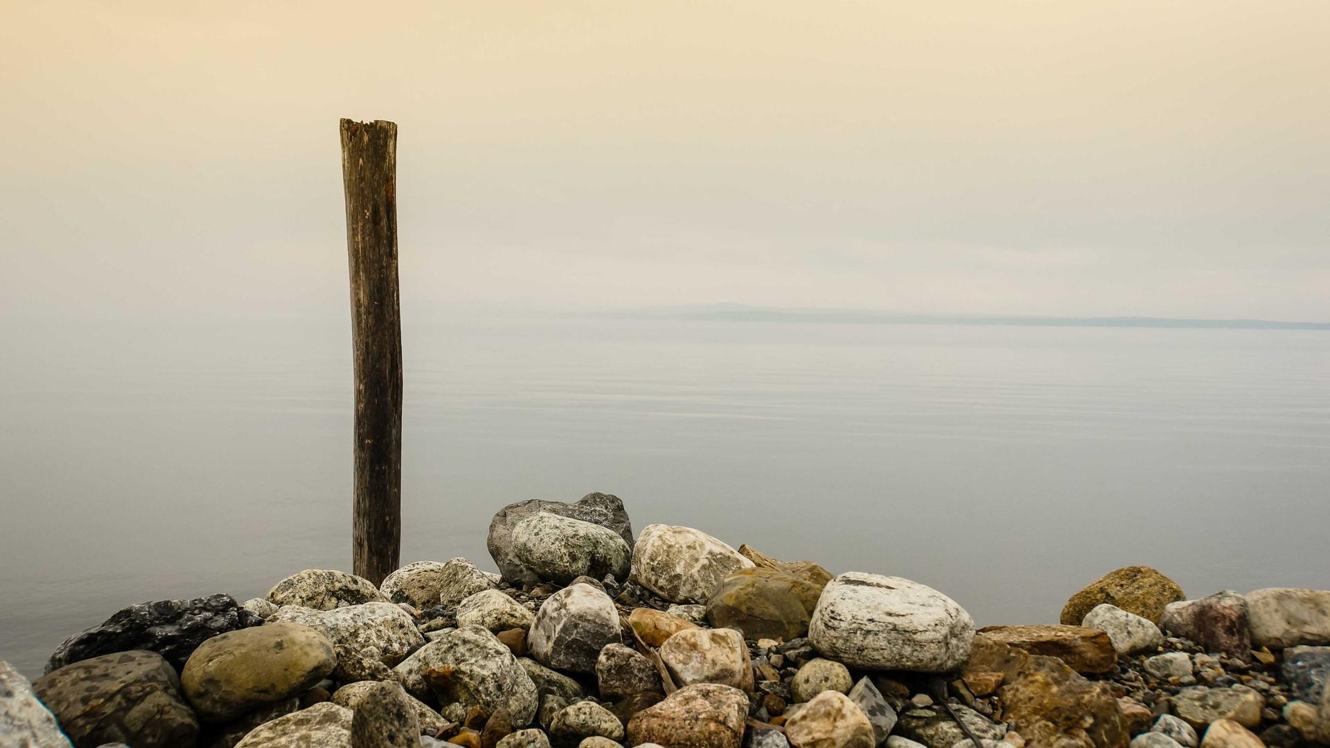 Modern smart home products on display